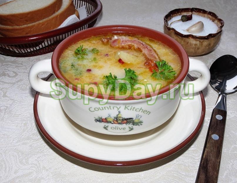 Щи из кролика. Суп из кролика - пошаговые рецепты приготовления с рисом, вермишелью и овощами с фото