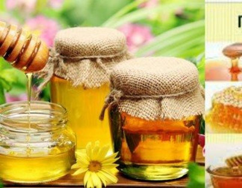  Как правильно употреблять мед, чтобы была польза