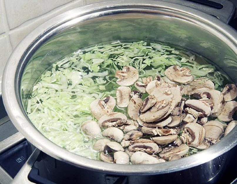 Рецепт тушеной картошки с вешенками. Как готовить жареные грибы вешенки с картошкой. Вешенки, жареные с луком в сметанном соусе