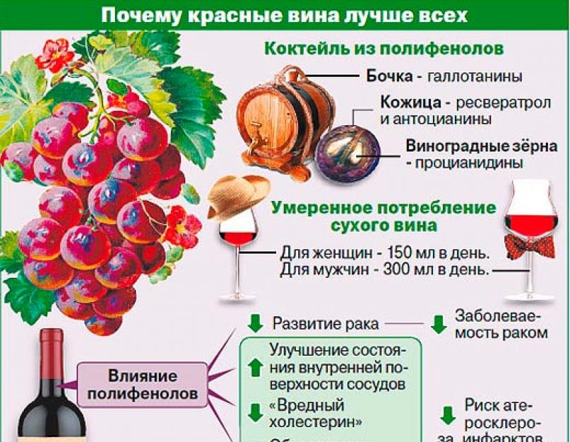 On peut boire du vin pendant la grossesse - un nouveau point de vue.  Précautions lors du choix du vin sans alcool