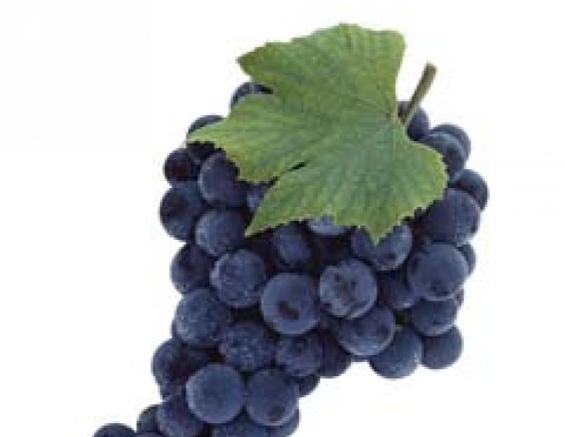 Сколько ккал в винограде черном. или сок - что лучше? Возможный вред от масла из косточек винограда