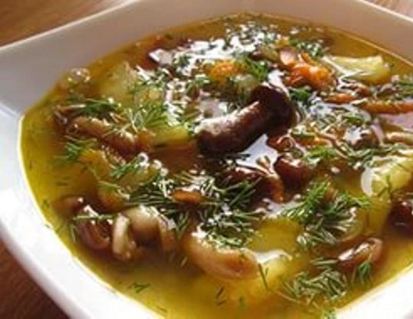 Soupe de pommes de terre à la viande et aux champignons.  Soupe de champignons au bouillon de viande : l'arôme de l'automne dans votre cuisine