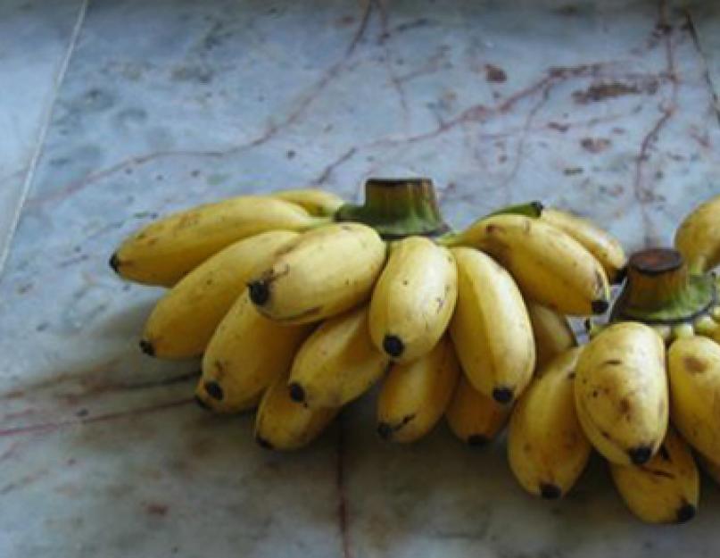 Bananes inhabituelles.  Petites et grosses bananes : avantages et différences.  Contre-indications d'utilisation