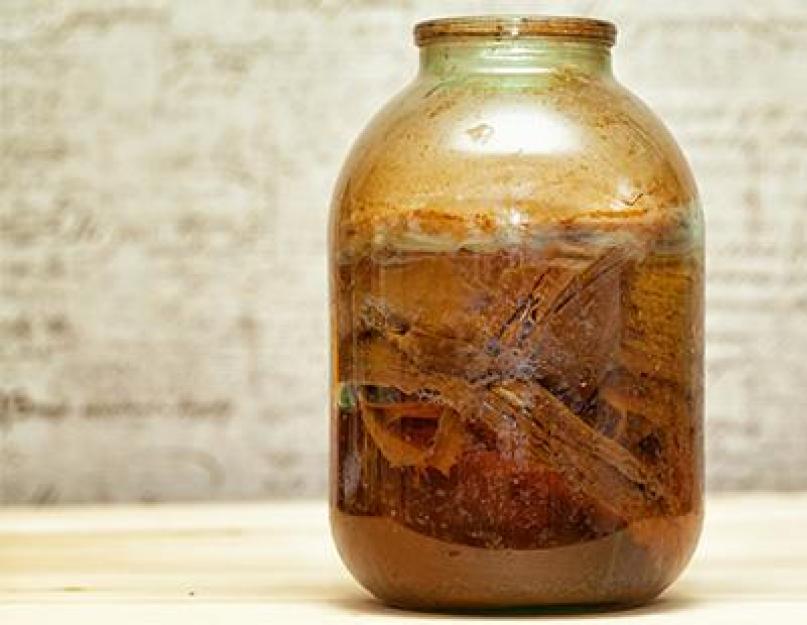 Cultivez des champignons à partir du thé.  Comment faire du kombucha.  Propriétés utiles du kombucha, contre-indications.  Kombucha aux herbes