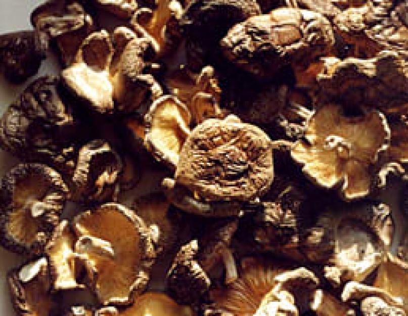 Сушка и хранение сушеных грибов. Как засушить грибы в духовке на зиму