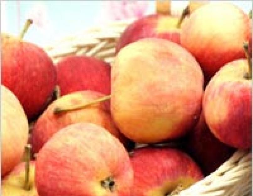 Простое яблочное варенье дольками. Яблочное варенье – простые вкусные рецепты для домашнего приготовления