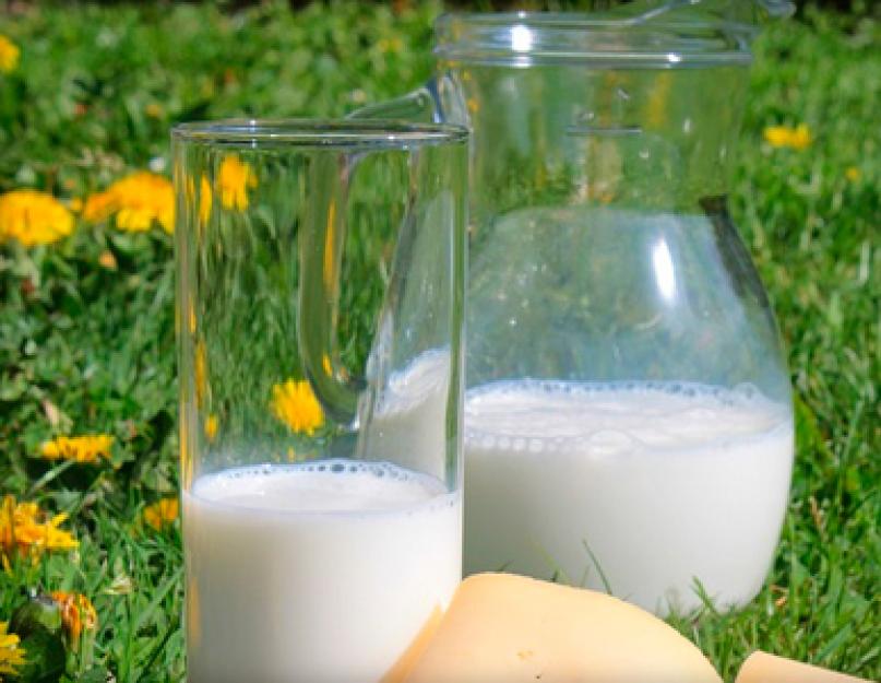 Lait entier naturel.  Choisir le lait : vrai ou faux ?  Qu'est-ce que le lait entier et quelle est la différence avec le lait normalisé ?