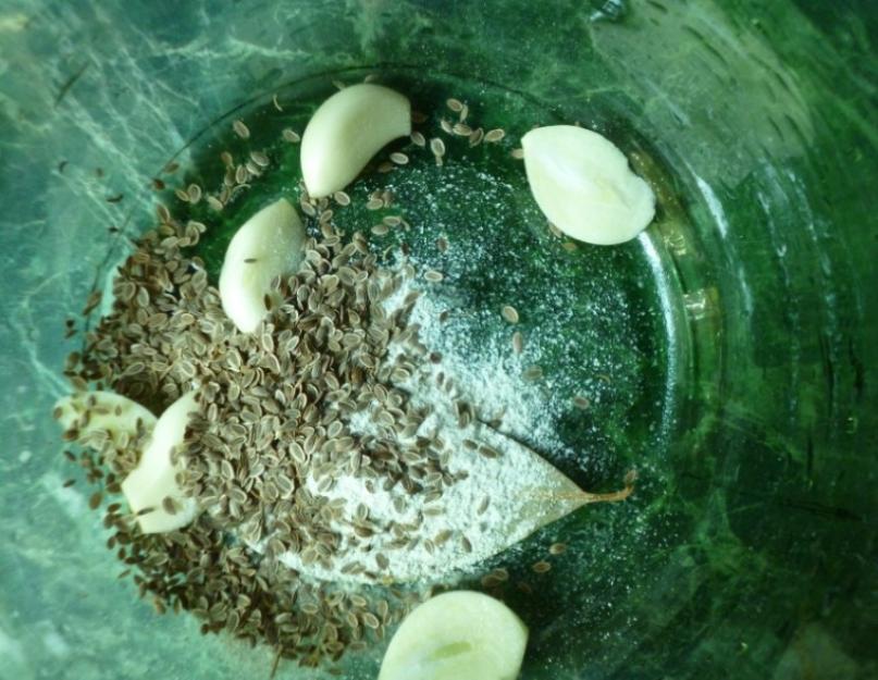 Вкусные рецепты соления огурцов. Соленые огурцы на зиму в банках — проверенные рецепты