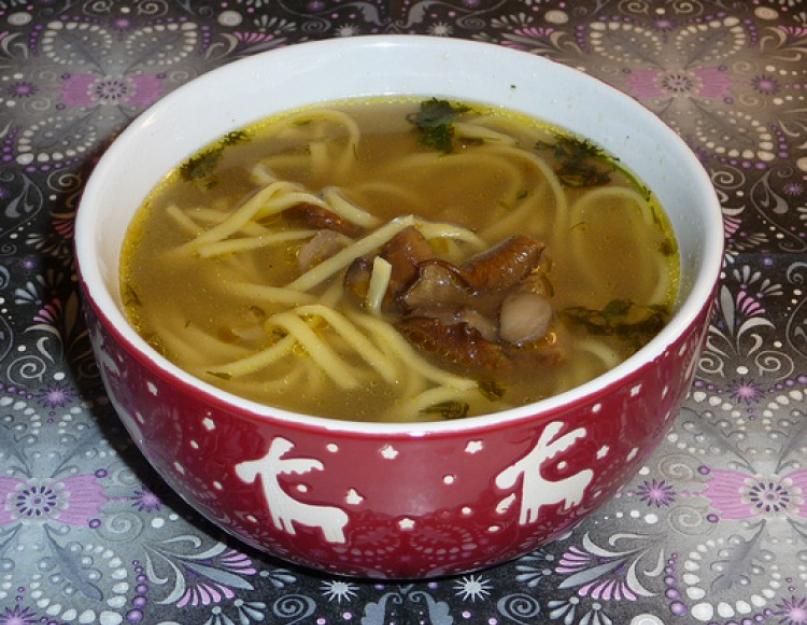 Грибной суп из сухих. Пошаговое приготовление сливочного супа из сушеных грибов. Суп из грибов сушеных и плавленого сыра