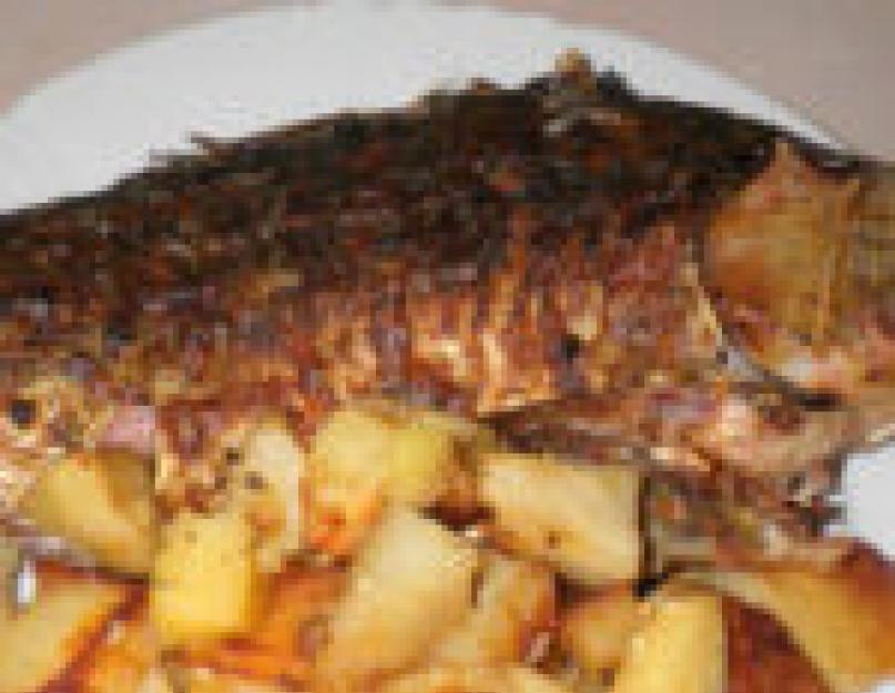 Современные блюда из рыбы. Блюда из рыбы простые рецепты