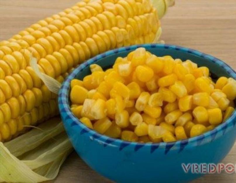 Консервированная кукуруза польза и вред для здоровья. Чем полезна консервированная кукуруза: польза и вред для организма. Калорийность и пищевая ценность