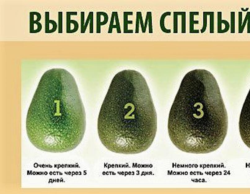 Как выбрать авокадо для салата? Выбираем авокадо: как определить его спелость и дать дозреть в домашних условиях