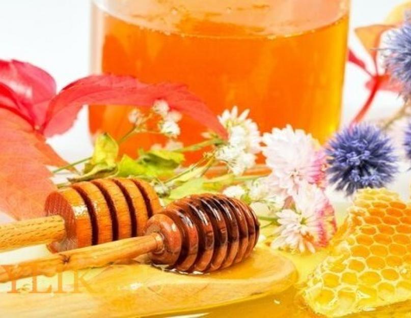 Цветочный мед полезные свойства. Необходимо ограничить или исключить продукт из рациона при. Почемучка: что такое мед