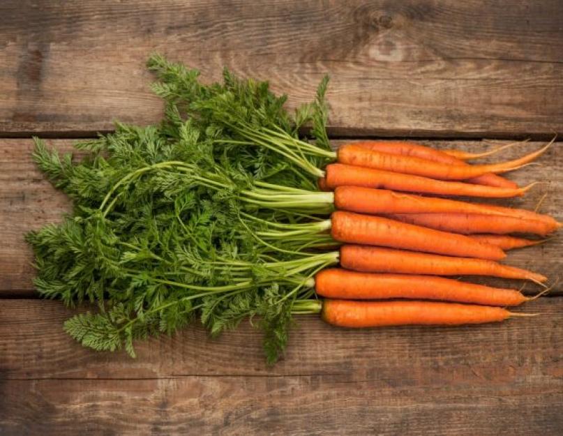 Для всех и обо всем. Белая морковь: сорта, вкус, полезные свойства. Почему морковь белая, а не оранжевая? Фиолетовая морковь