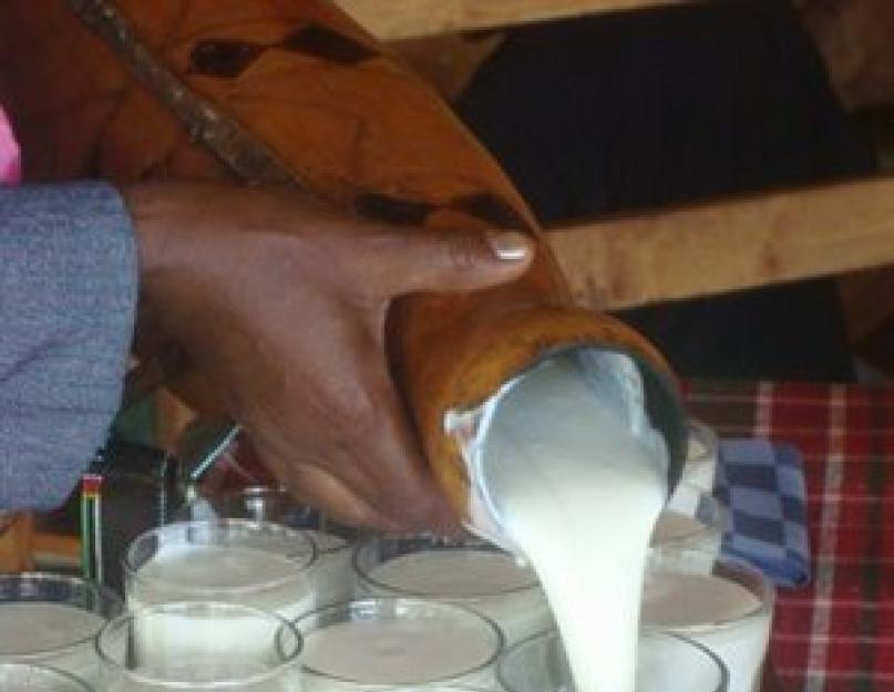 Как из молока сделать простоквашу. Как быстро сквасить молоко? Кисломолочные продукты в домашних условиях. Несколько видов простокваши