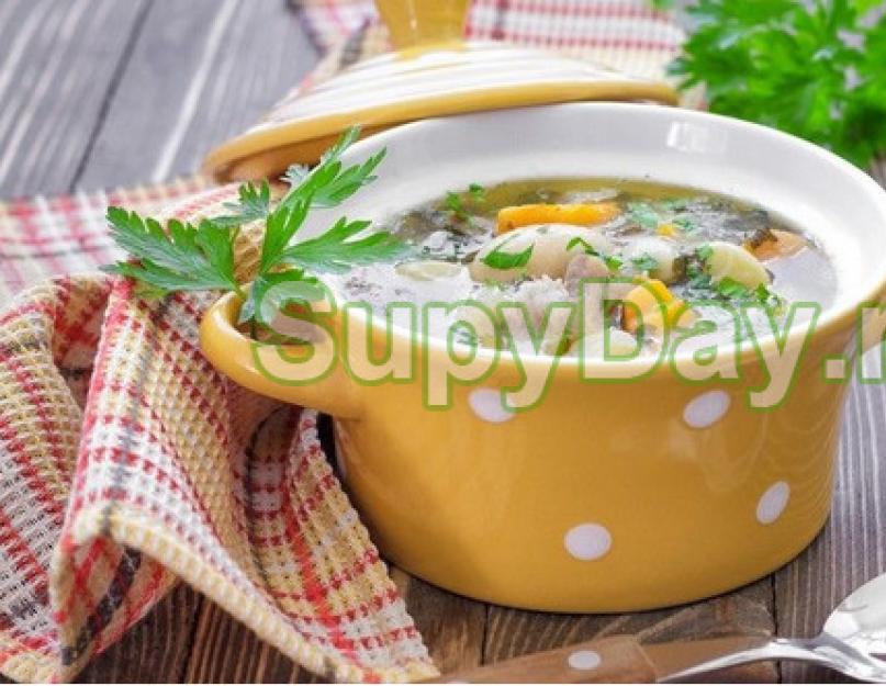Постный гречневый суп с грибами. Постный суп с грибами и гречкой