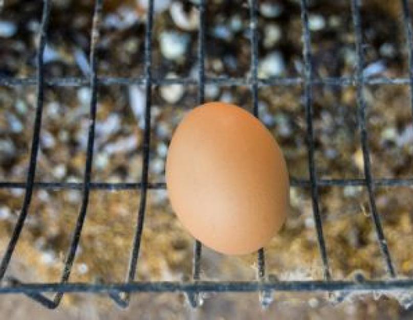 Сколько можно хранить свежие яйца. Срок хранения яиц в домашних условиях