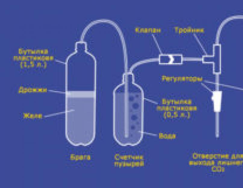 Рецепт приготовления бражки в домашних условиях. Пошаговый способ приготовления - или как сварить крепкий кофе в турке дома. Быстрая брага из сахара