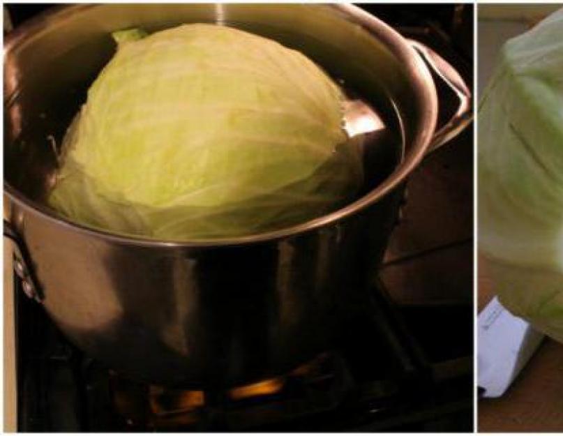 Приготовление капусты для голубцов в микроволновке. Как приготовить капусту для голубцов в микроволновке до размягчения