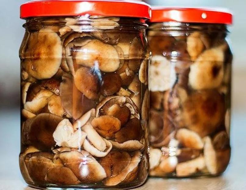 Comment préparer des champignons des prés marinés pour l'hiver.  Champignons marinés.  Recette de champignons marinés pour l'hiver au goût particulier