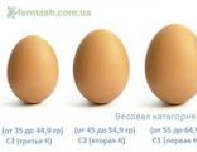 Сколько грамм весит одно вареное яйцо. Сколько грамм содержится в одном курином яйце? Сколько весит желток, а сколько белок