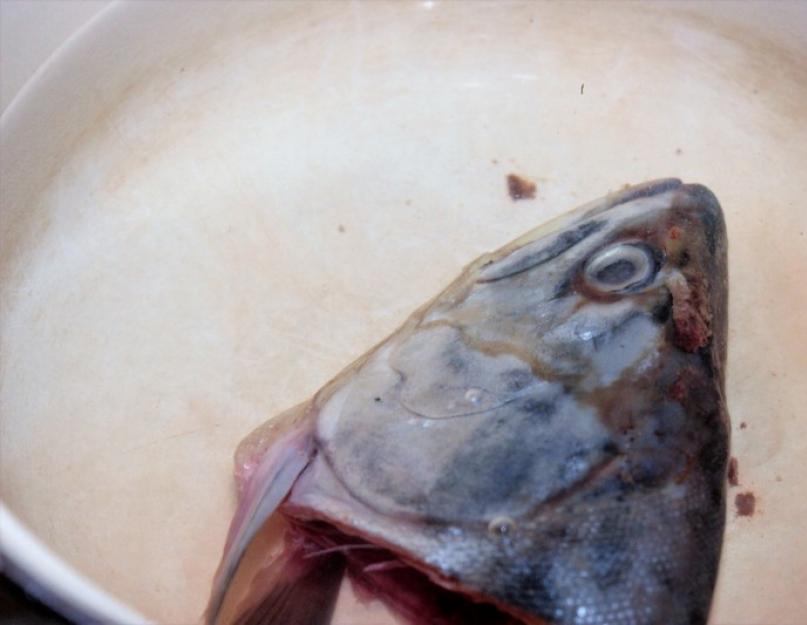 Уха из головы и хвоста горбуши - лучшие рецепты вкусного рыбного супа. Уха из горбуши: рецепты приготовления в домашних условиях
