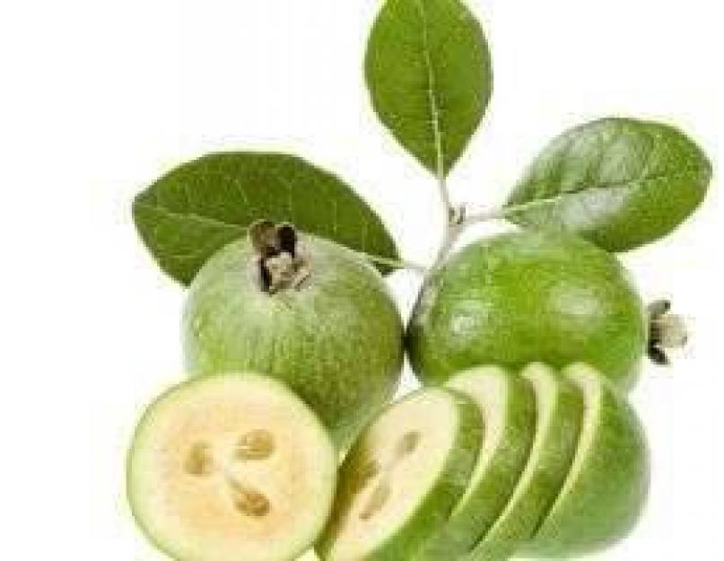 Fruit exotique de feijoa.  Comment faire pousser une plante à la maison ?  Saison en Russie