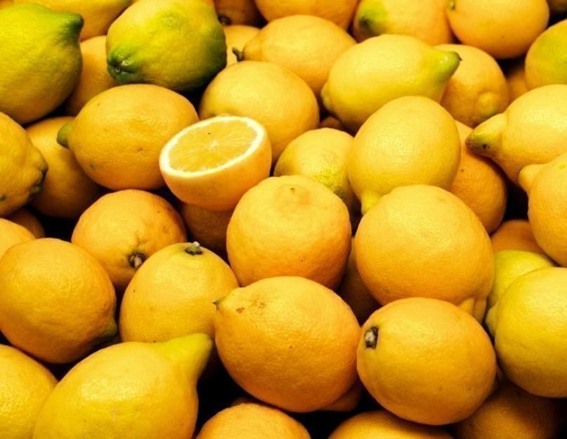 Как называется похожа на лимон. Цитрусовые солнечные фрукты