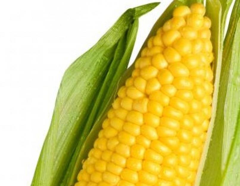 Как определить молодая кукуруза или нет. Посуда для варки: что выбрать. Как варить кукурузу в скороварке