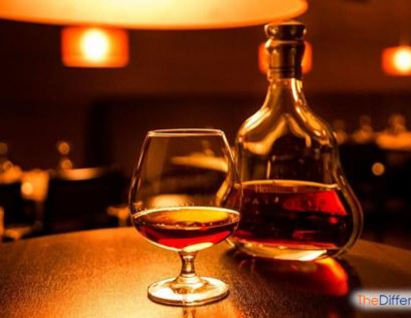 Quelle est la différence entre le whisky et la boisson au riz ?  La différence entre le whisky irlandais et le whisky écossais : caractéristiques de production, goût, degrés, similitudes et différences entre le whisky, règles d'utilisation.  Qu'est-ce qui est meilleur et plus fort : le cognac ou le whisky ?