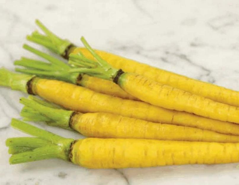 Полезные свойства и вред желтой моркови. Почему вырастает белая морковь, а не оранжевая