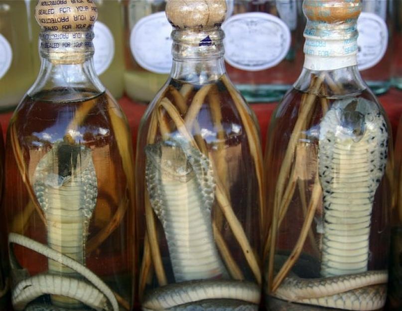 Китайская водка со змеей. Змеиная настойка — пить или не пить