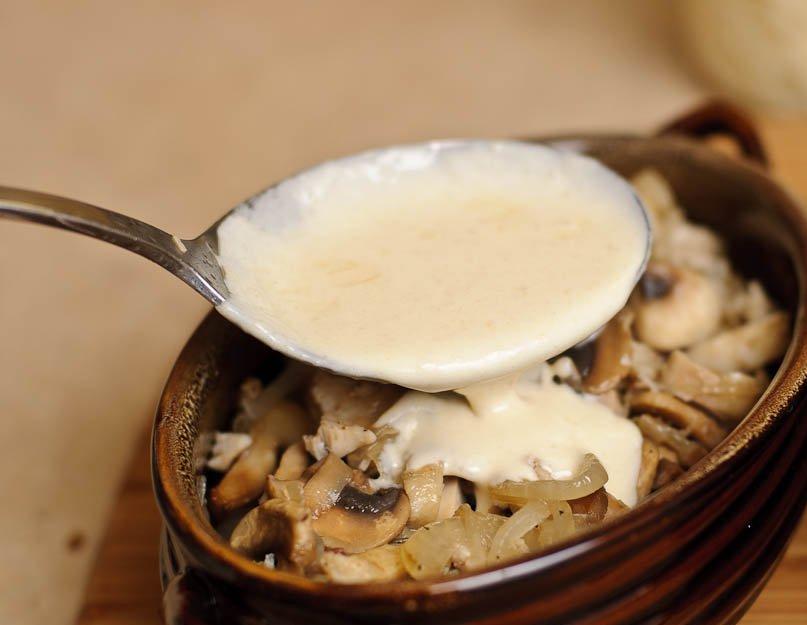 Белые грибы жульен рецепты приготовления. Жульен с грибами и курицей в духовке рецепт