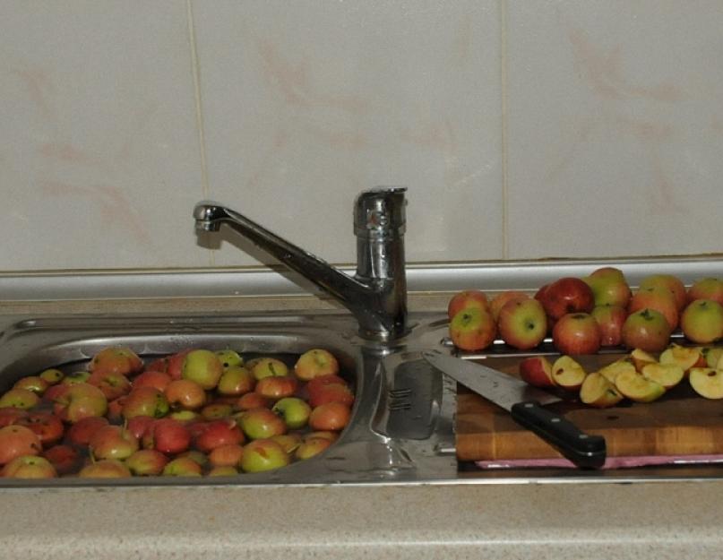 Самогон из яблок в домашних условиях. Как сделать брагу из яблок? Рецепт браги для самогона