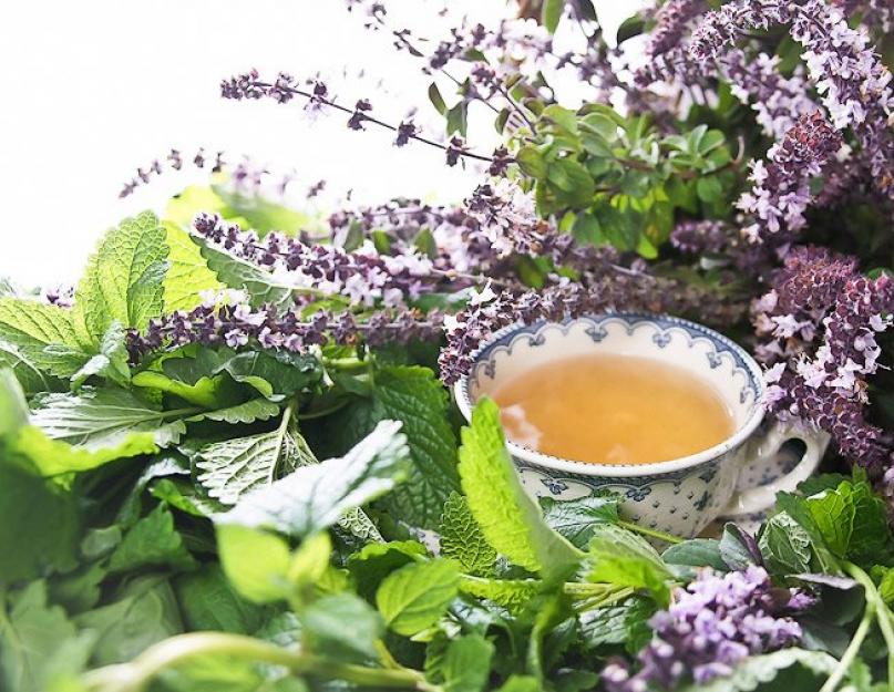 Чай монастырский лечебный по старинным монастырским рецептам. Какие травы входят в состав монастырского чая сердечного. Монастырский чай от аллергии