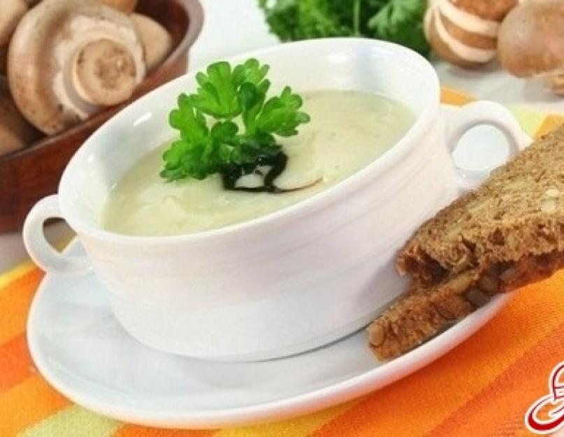 Грибной суп с сыром сварить. Сырно грибной суп, рецепт приготовления. Грибной суп с плавленным сырком: общие принципы приготовления.