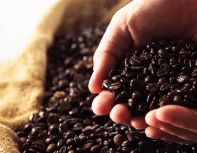 Как называется самый дорогой кофе мире. Cамый дорогой кофе в мире из помета: копи лювак. Другие сорта кофе из кала животных и не только