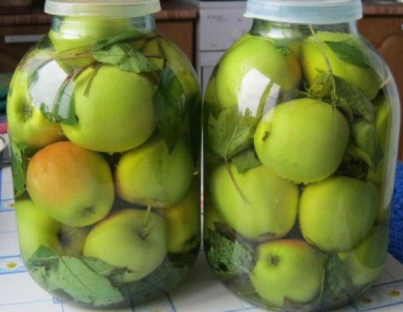 Моченая антоновка в домашних условиях. Моченые яблоки: сохраняем вкус и полезные свойства любимого фрукта. Моченые яблоки антоновка в домашних условиях