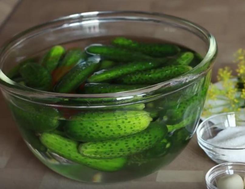 Concombres marinés pour l'hiver en bocaux.  Recette pour cuisiner avec des courgettes.  Concombres croustillants aux feuilles de chêne