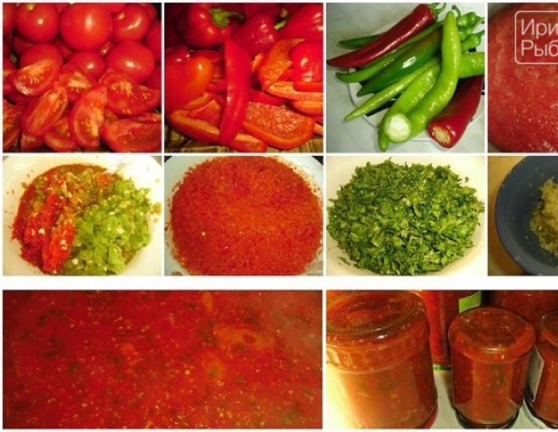 Satsebeli pour l'hiver à base de tomates aux herbes.  Sauce Satsebeli : recette classique et variantes de fruits et légumes