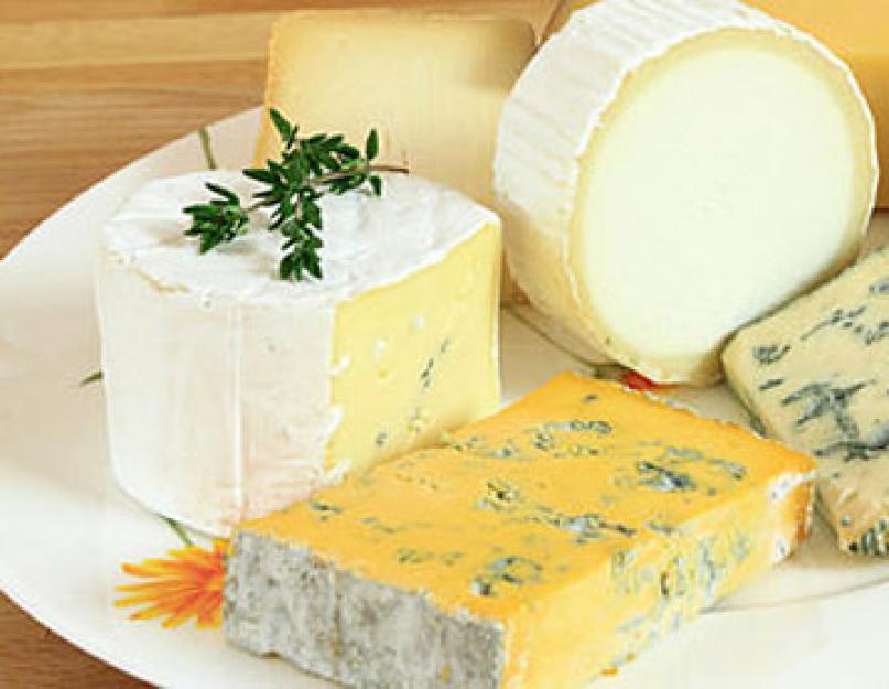 Сыр с плесенью: что это такое и с чем его едят? Как есть сыр с плесенью