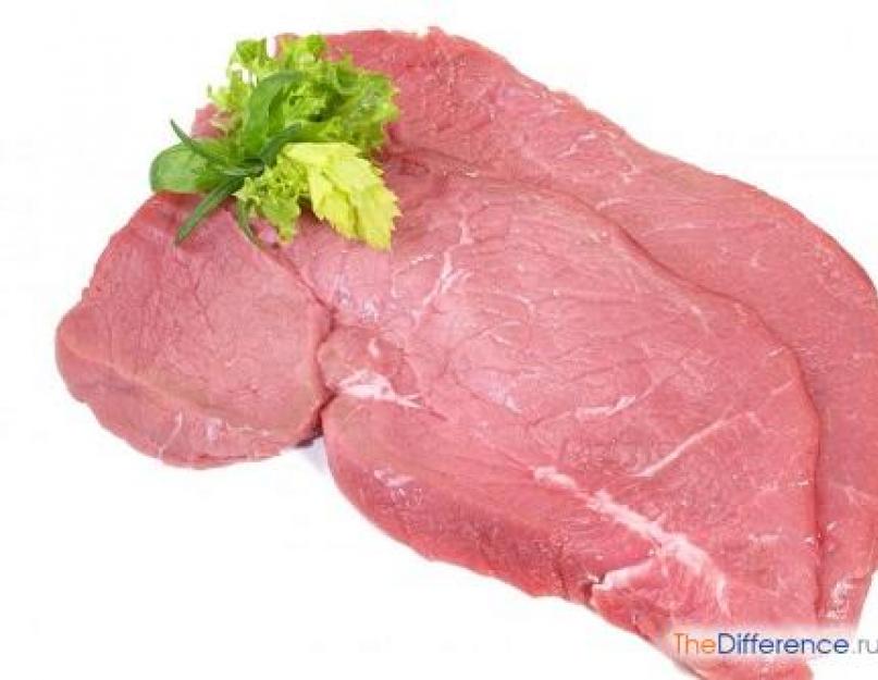 Телятиной считается мясо. Что полезнее: говядина или телятина