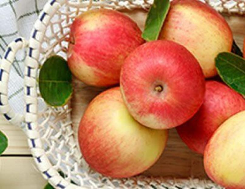 Какая польза яблок для организма женщины. Как готовить яблоки. Какие яблоки самые полезные? Основные способы приготовления. Как используют яблоки в домашней косметологии