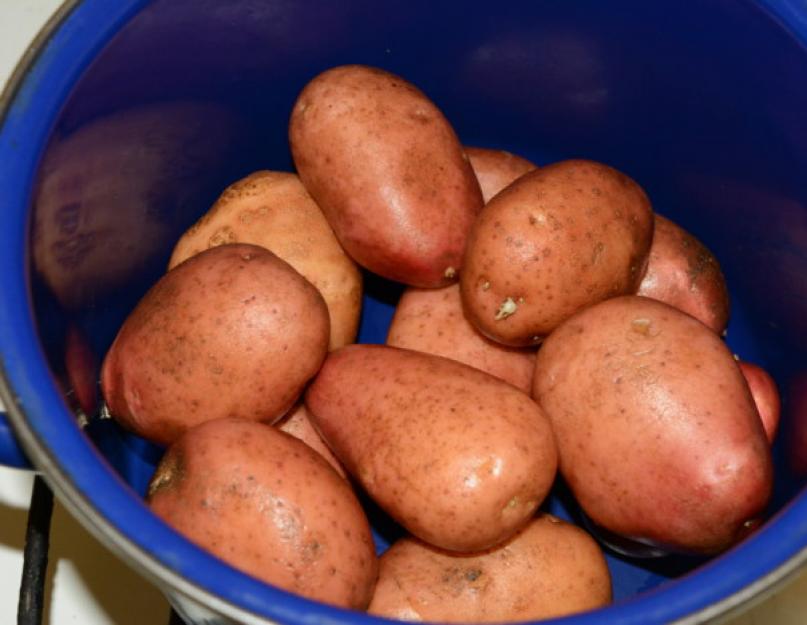 Comment faire bouillir de grosses pommes de terre dans leur peau.  Pommes de terre en veste.  Détendons-nous.  Accords simples sur les pommes de terre en veste