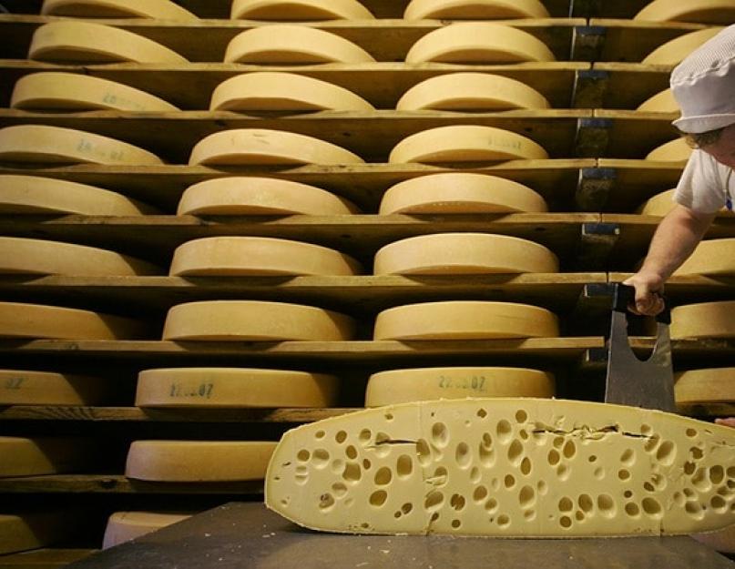  Технология производства сыров, основные опасности (болезни)