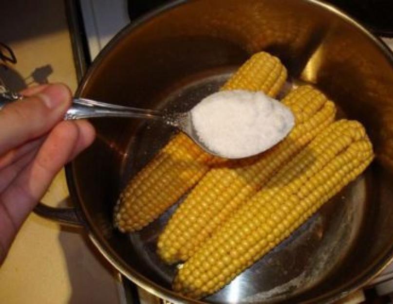 Рецепт вареной кукурузы с молоком и маслом. Рецепты отваривания кукурузы в молоке. Целебные свойства отвара кукурузы