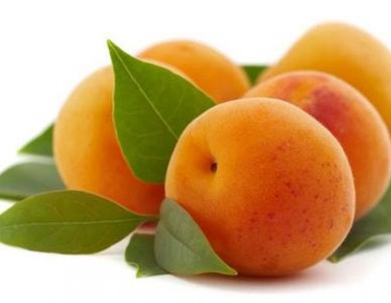 ﻿ Самогон из абрикос. Рецепты приготовления самогона из абрикосов в домашних условиях