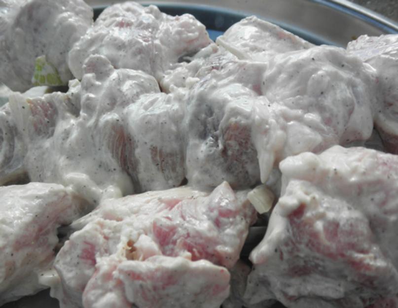 Шашлык из свинины: самый вкусный маринад, чтобы мясо было мягким и сочным. Готовим шашлык на шпажках в духовке. Правила маринования и необходимые ингредиенты