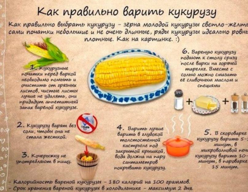 Как вкусно приготовить кукурузу в початках и сколько нужно её варить: простые пошаговые рецепты с фото. Кукуруза: как правильно варить, чтобы она была мягкой и сочной