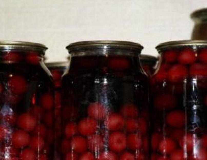 Comment faire une compote de cerises avec noyaux.  Comment conserver la compote de cerises.  Ingrédients nécessaires pour une délicieuse compote de cerises avec noyaux pour l'hiver